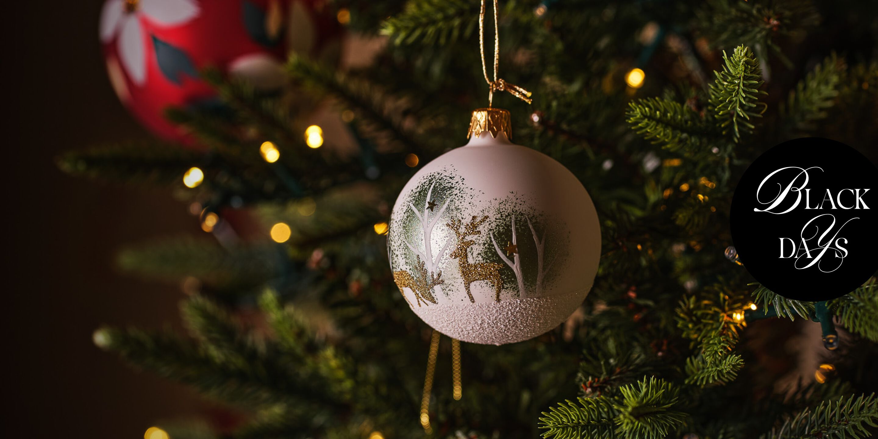 <font size="+3">Il tuo albero</font size="+3">