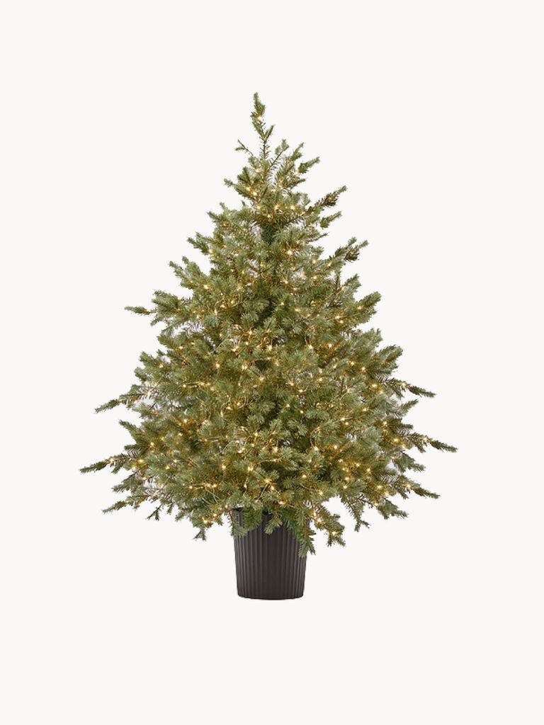 Christmas Trees