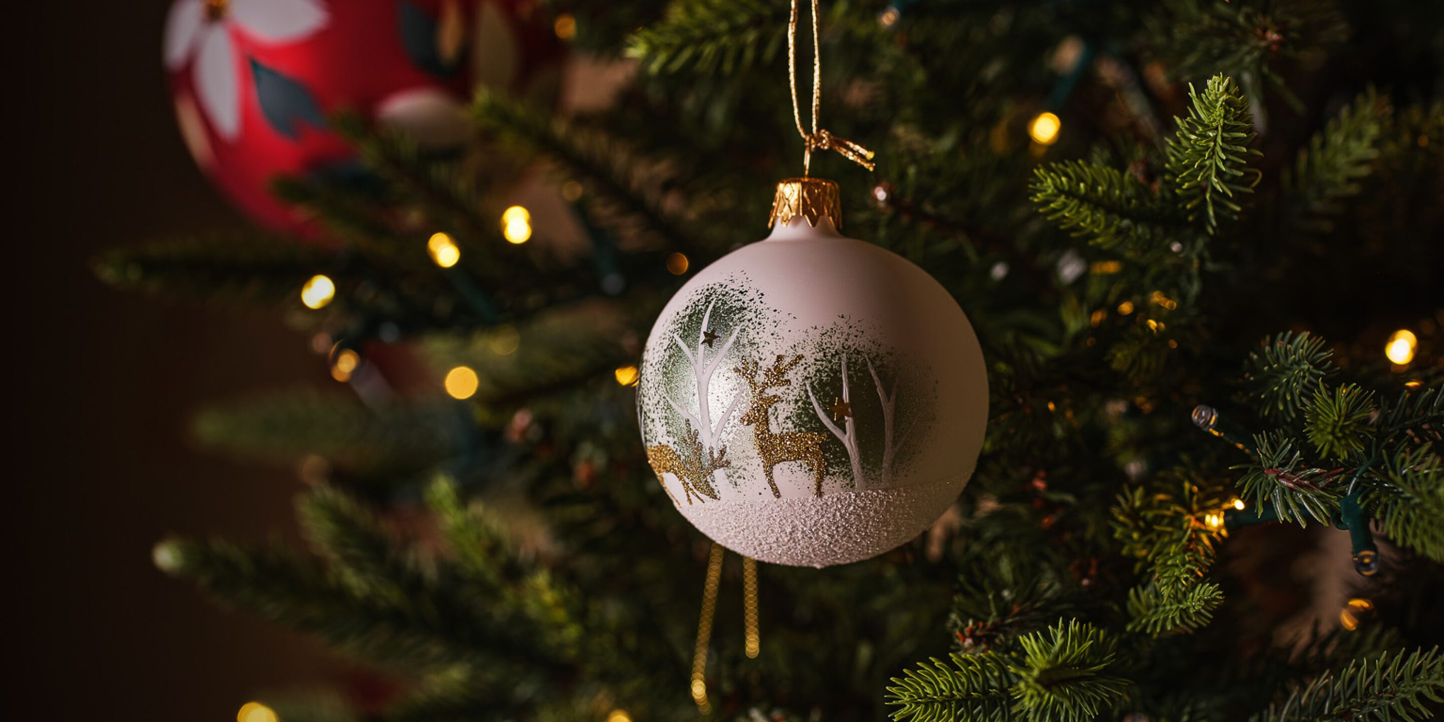 <font size="+3">Il tuo albero</font size="+3">