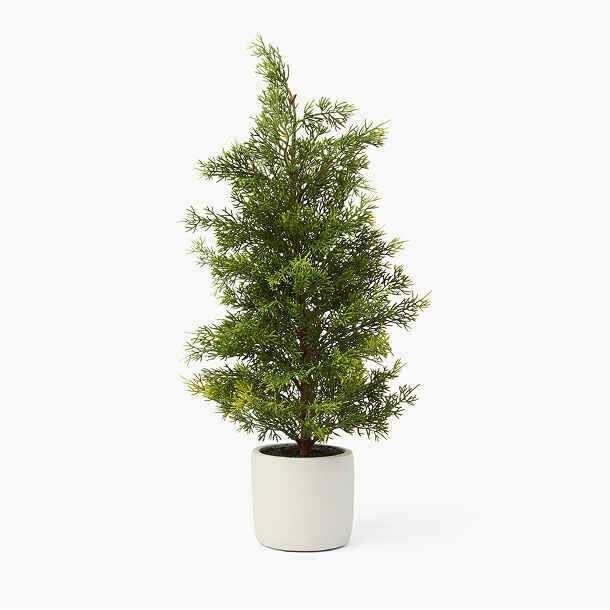 Alberi di natale