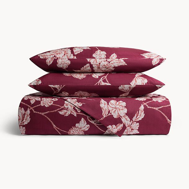 Dai 50&euro; ai 100&euro;